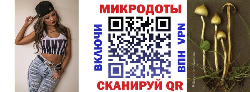 Галлюциногенные грибы Psilocybe  Дивногорск 